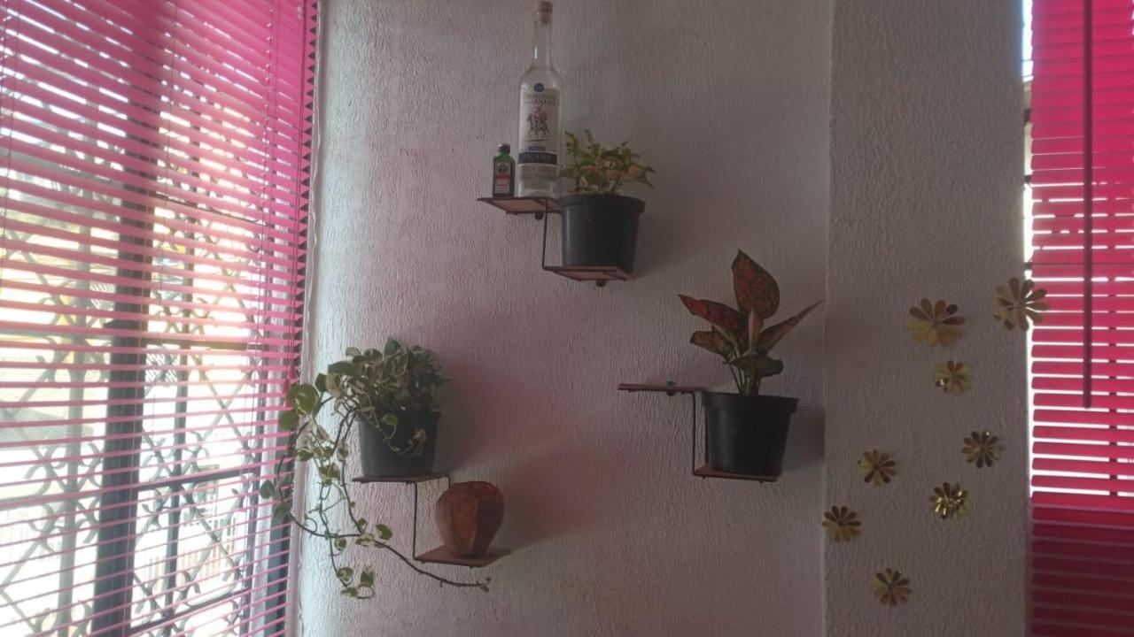 Cat Family Lodging Apartment Cartagena Bagian luar foto
